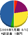 筒井電工 貸借対照表 2009年5月期
