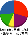 長野温泉地質研究所 貸借対照表 2011年9月期