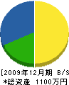 泉伸土木プランニング 貸借対照表 2009年12月期