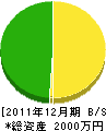 亀田電機商会 貸借対照表 2011年12月期