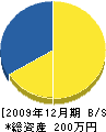 山﨑ロード開発 貸借対照表 2009年12月期