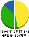 佐々木塗装店 貸借対照表 2009年12月期