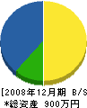 松藤電気工事 貸借対照表 2008年12月期
