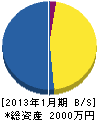黒須植物園 貸借対照表 2013年1月期