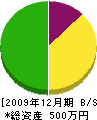 帯川塗装店 貸借対照表 2009年12月期