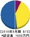 富士建設 貸借対照表 2010年9月期