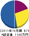 斉藤美装店 貸借対照表 2011年10月期