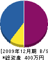 斉藤左官 貸借対照表 2009年12月期