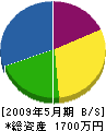 畠山電気商会 貸借対照表 2009年5月期
