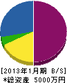 島栄緑化 貸借対照表 2013年1月期