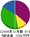 新栄電気 貸借対照表 2008年12月期