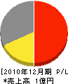 エヌ・ケイ・テクノ 損益計算書 2010年12月期