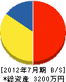 藤井寺マイホームサービス 貸借対照表 2012年7月期