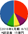 渡邊工業 貸借対照表 2010年6月期