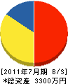 藤井寺マイホームサービス 貸借対照表 2011年7月期