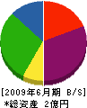 アルファテック 貸借対照表 2009年6月期