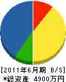 明彩工業 貸借対照表 2011年6月期