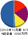 松江電通 貸借対照表 2012年12月期