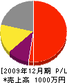 前田塗装店 損益計算書 2009年12月期
