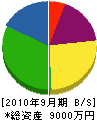 富士電気商会 貸借対照表 2010年9月期