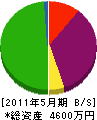 矢口グリーン 貸借対照表 2011年5月期