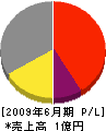 鎌倉土建 損益計算書 2009年6月期