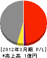 丸和 損益計算書 2012年3月期