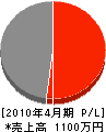 ティアナ 損益計算書 2010年4月期 ティアナ 損益計算書 2010年4月期