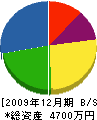 木村林業 貸借対照表 2009年12月期