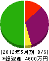 矢口グリーン 貸借対照表 2012年5月期