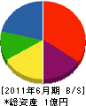 勇輝興業 貸借対照表 2011年6月期