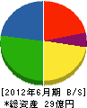 佐藤興産 貸借対照表 2012年6月期