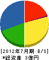 大昭産業 貸借対照表 2012年7月期