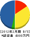 山崎電気商会 貸借対照表 2012年2月期