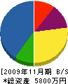 境電工 貸借対照表 2009年11月期