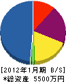 きくおか電気商会 貸借対照表 2012年1月期