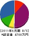 辰巳 貸借対照表 2011年6月期