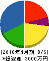 田中建材 貸借対照表 2010年4月期