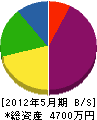阪本電気設備工事 貸借対照表 2012年5月期