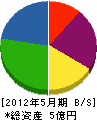 小笠原 貸借対照表 2012年5月期