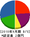 山村工務店 貸借対照表 2010年9月期