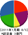 斉勇 貸借対照表 2011年1月期