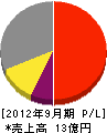 松井金網工業 損益計算書 2012年9月期