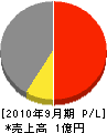 大北美松園 損益計算書 2010年9月期