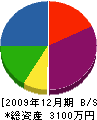 竹＊興業 貸借対照表 2009年12月期