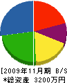 小嶋造園 貸借対照表 2009年11月期
