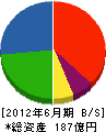 レイメイ藤井 貸借対照表 2012年6月期