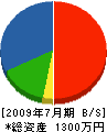 岡本興産 貸借対照表 2009年7月期