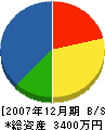 斉藤建設 貸借対照表 2007年12月期
