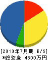 斉藤建設 貸借対照表 2010年7月期